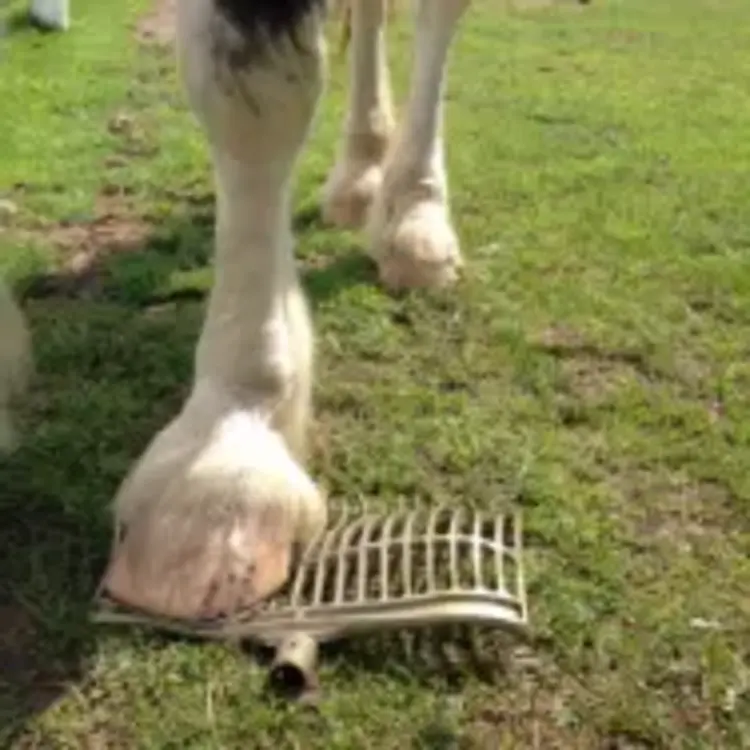 Forever Fork Forever Fork Charcoal Grey