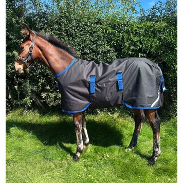Horseware Foal Amigo Ripstop 900D Turnout 200g Black Blue