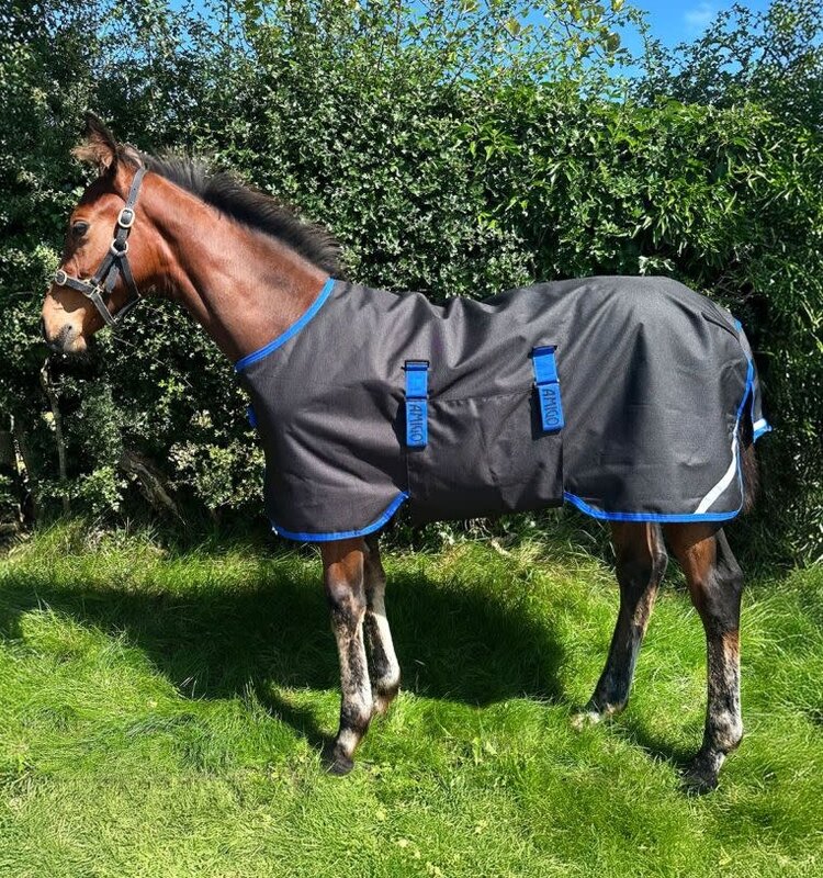 Horseware Foal Amigo Ripstop 900D Turnout 200g Black Blue