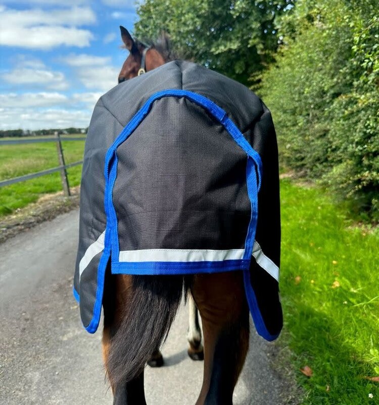 Horseware Foal Amigo Ripstop 900D Turnout 200g Black Blue
