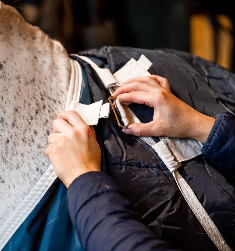 Horseware ECO Liner 100g Light Teal Eco Print Grey