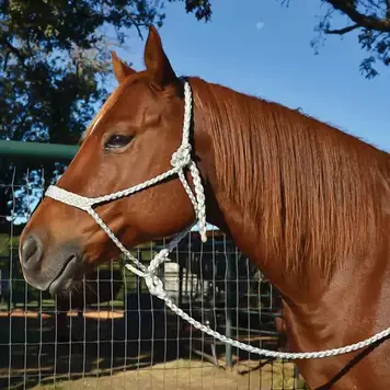 Martin Saddlery Mule Tape Halter White