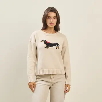 Dog With Bow Sweater
