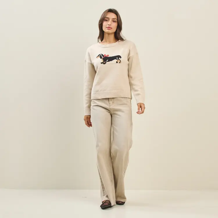 Able Dog With Bow Sweater