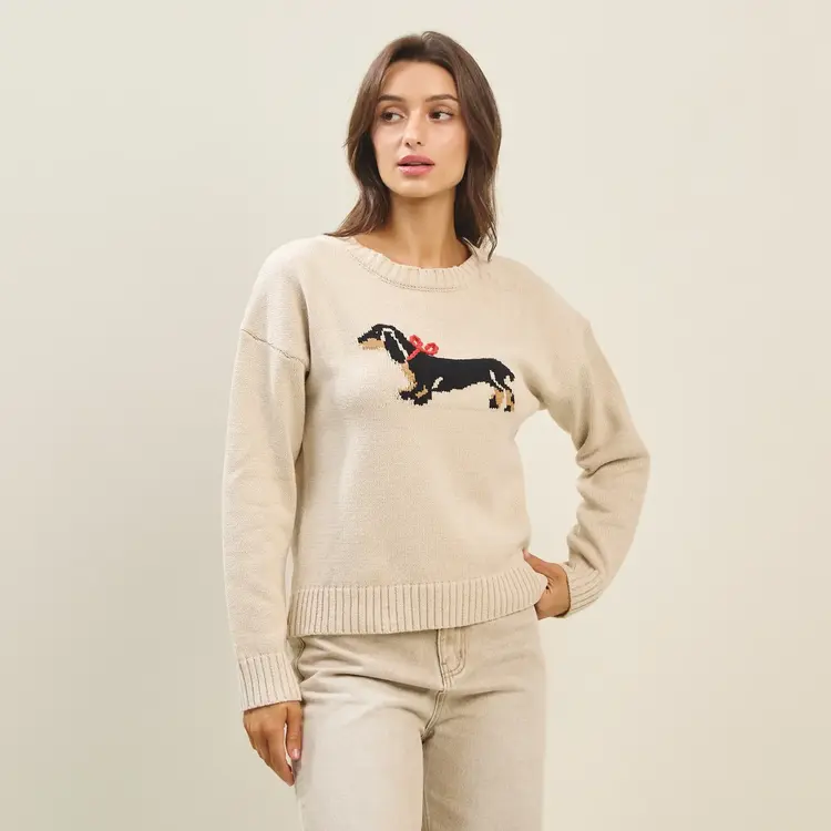 Dog With Bow Sweater