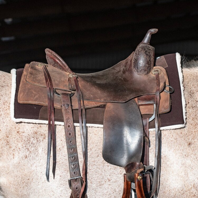 Classic Equine Performance Trainer Felt Top Coffee 31" x 32"