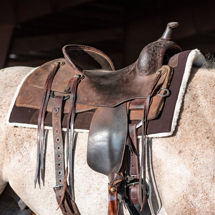 Classic Equine Performance Trainer Felt Top Coffee 31" x 32"