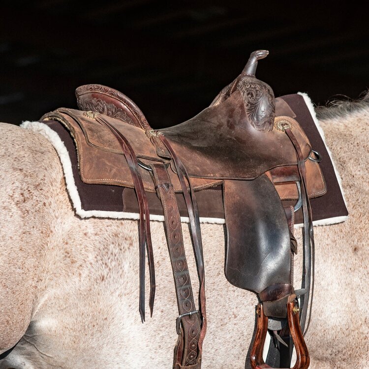 Classic Equine Performance Trainer Felt Top Coffee 31" x 32"