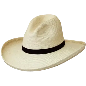 SunBody Hats Youth 3.5" Gus Palm