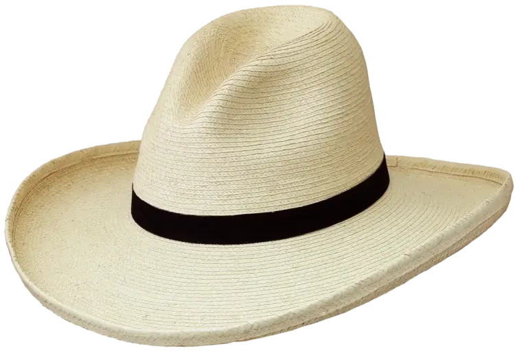 SunBody Hats Youth 3.5" Gus Palm