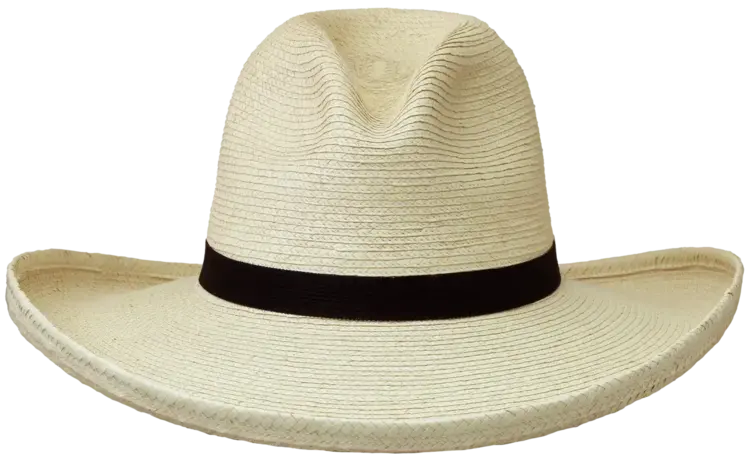 SunBody Hats Youth 3.5" Gus Palm