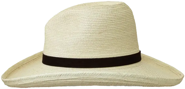 SunBody Hats Youth 3.5" Gus Palm