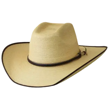 SunBody Hats 4" Boxtop Golden Mexican Palm