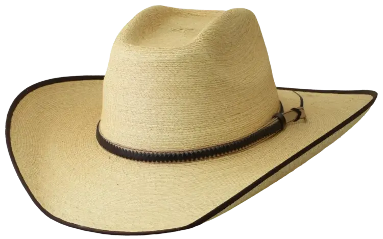 SunBody Hats 4" Boxtop Golden Mexican Palm