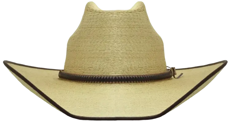 SunBody Hats 4" Boxtop Golden Mexican Palm