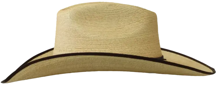 SunBody Hats 4" Boxtop Golden Mexican Palm
