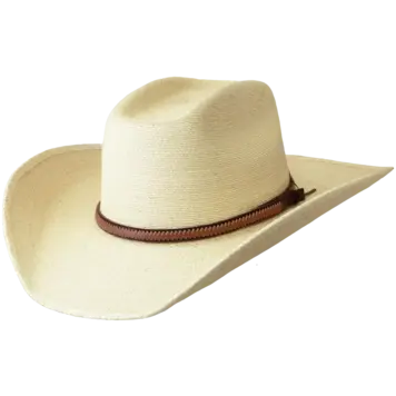 SunBody Hats 4" Boxtop Soft  Mexican Palm Leaf