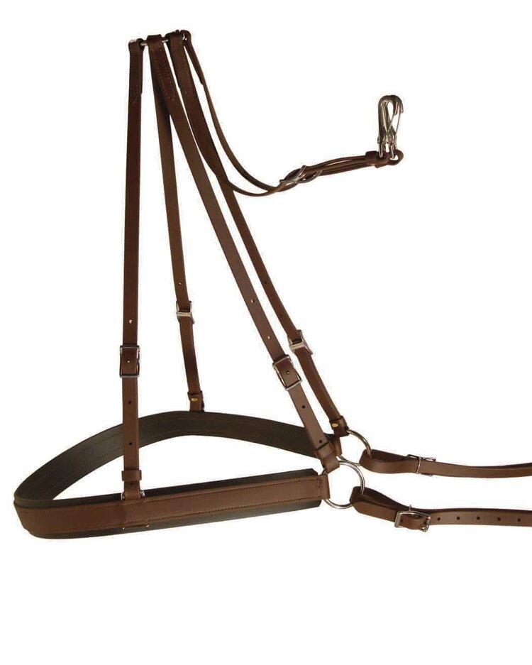 Berlin Custom Leather Biothane Mule Breeching w/ Stainless Black Brown