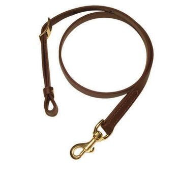 Berlin Custom Leather Biothane Tiedown Brown