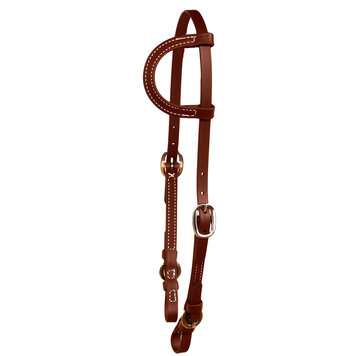 Berlin Custom Leather Biothane One Ear Stainless Brown