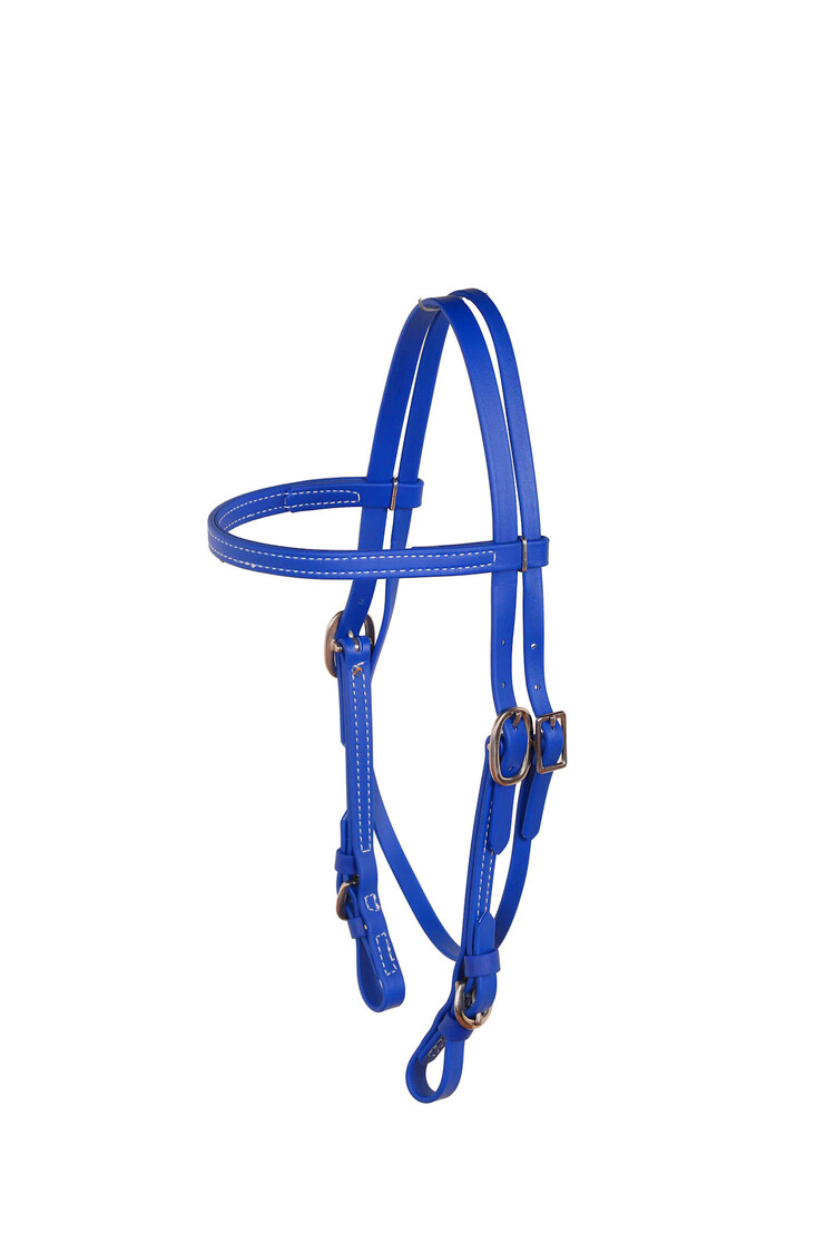 Berlin Custom Leather Biothane Headstall Stainless Royal Blue