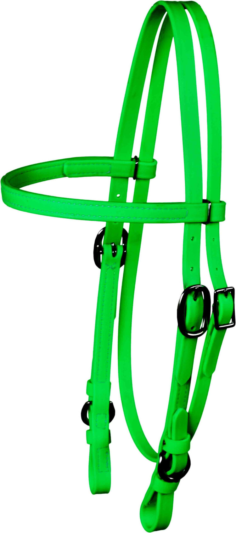 Berlin Custom Leather Biothane Headstall Stainless Green