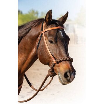 Professional's Choice Loping Hackamore