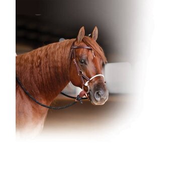 Professional's Choice Ranch Combination Bridle Smooth Snaffle