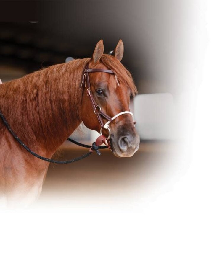Professional's Choice Ranch Combination Bridle Smooth Snaffle