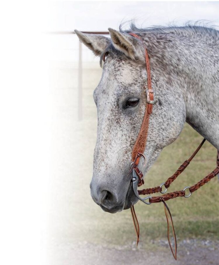 Professional's Choice One Ear Swell Cheek Natural Floral Headstall