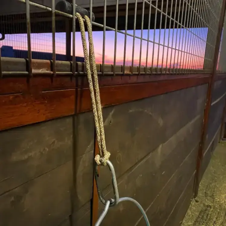 Hay Chix Bucket Strap Journey