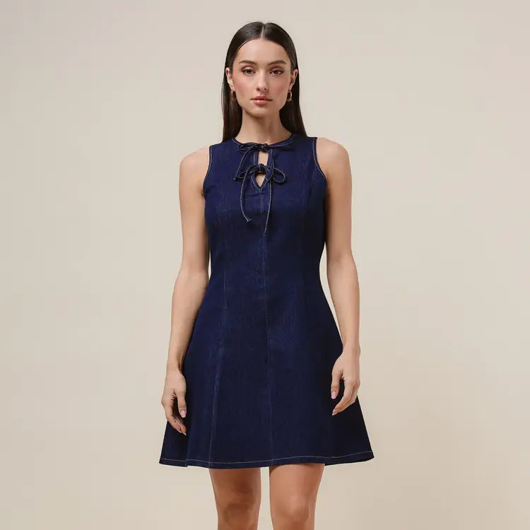 Tie Front Denim Flare Mini Dress
