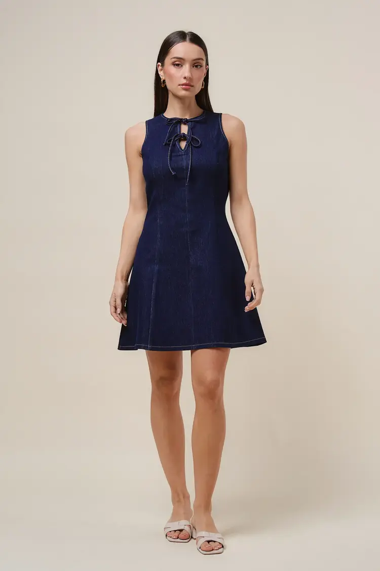 Tie Front Denim Flare Mini Dress