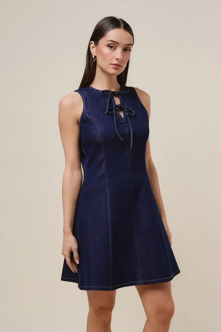 Tie Front Denim Flare Mini Dress
