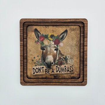 Dont Be A Dumbass Frame 8" x 8"
