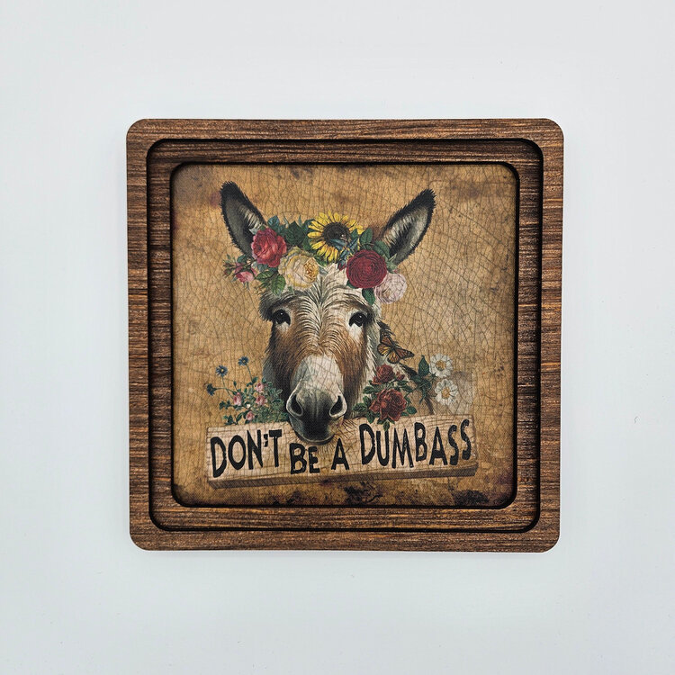 Dont Be A Dumbass Frame 8" x 8"