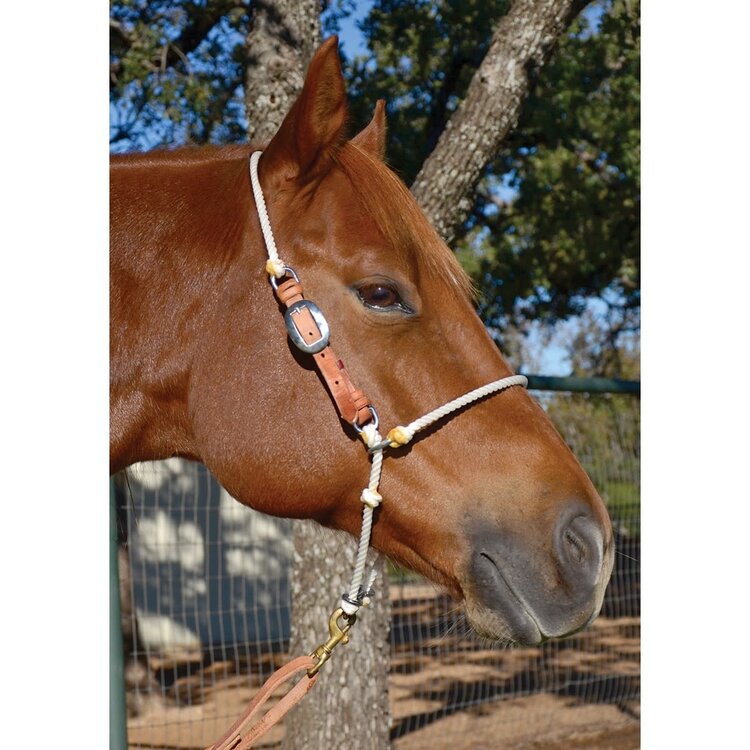 Martin Saddlery Headsetter Tie Down Adjustable Rope