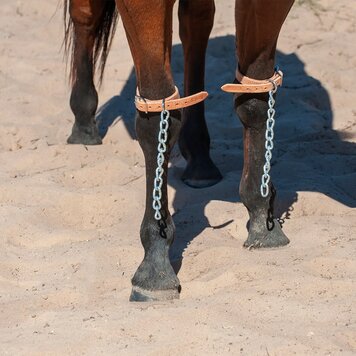 Martin Saddlery Leather Pawing Chains
