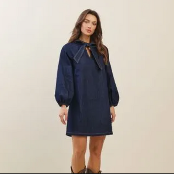 Bow Detailed Stretch Denim Mini Dress