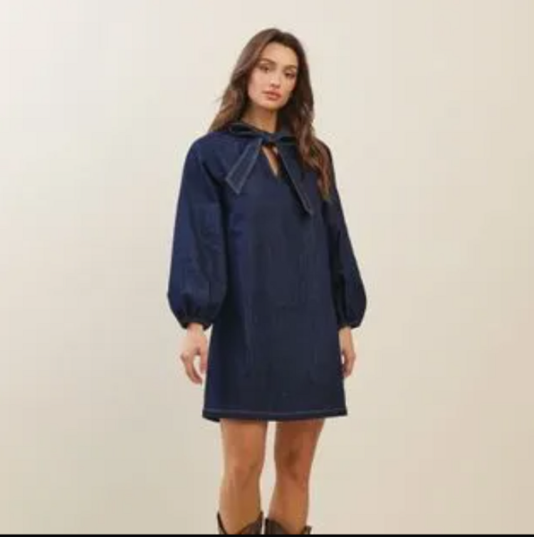 Bow Detailed Stretch Denim Mini Dress