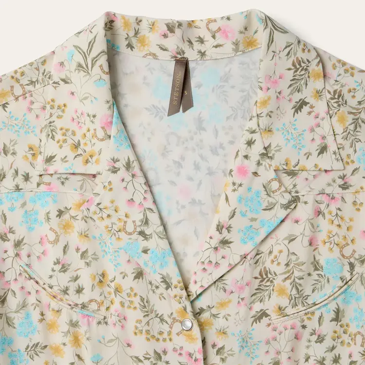 Stetson Prairie Floral Snap Dress