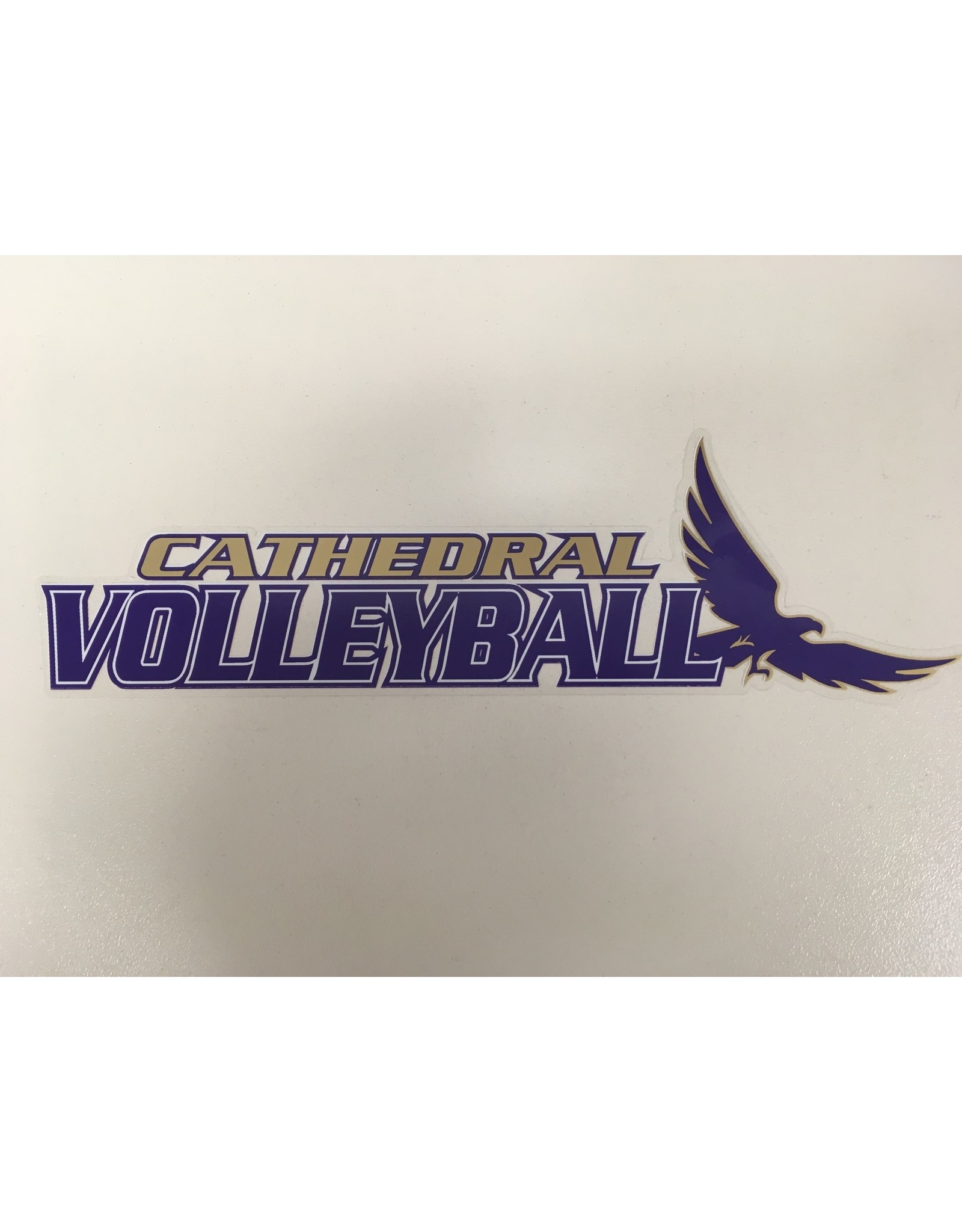 DECAL-CATHEDRAL VOLLEYBALL