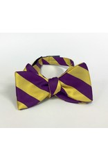 BOW TIE-PURPLE/GOLD STRIPE