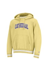 SWEATSHIRT REVERSE WEAVE MENS HOOD