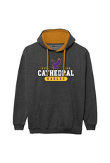 L2B MEN'S BENCHMARK COLORBLOCK HOODIE