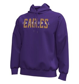 UA ICON FLEECE HOOD