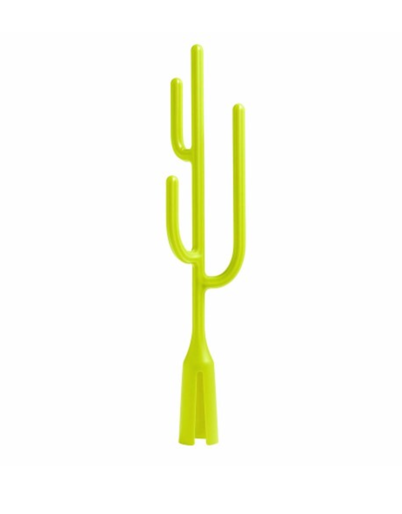 Boon Poke Cactus Grass