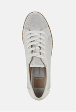 Dolce Vita Telah Sneakers