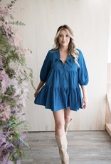 BB Dakota Chambray My Way Dress
