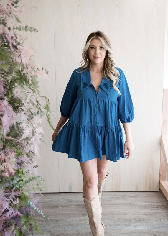 BB Dakota Chambray My Way Dress